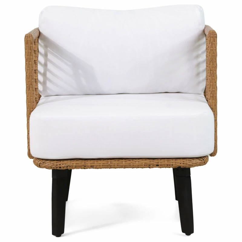 Brand new ๐งจ GDFStudio Rauser Outdoor Wicker Club Chair With Water Resistant Cushion (Set Of 2) ๐ - Image 3