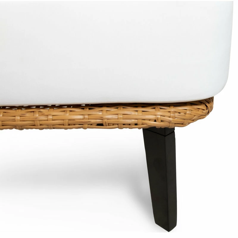 Brand new ๐งจ GDFStudio Rauser Outdoor Wicker Club Chair With Water Resistant Cushion (Set Of 2) ๐ - Image 6